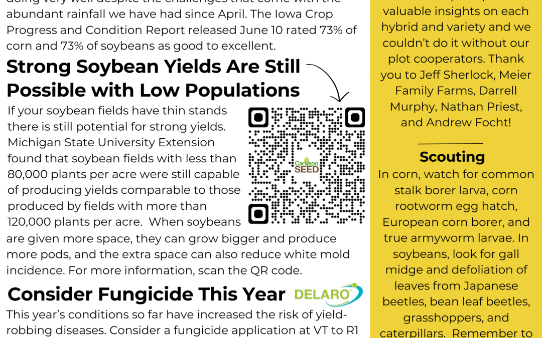 June Newsletter