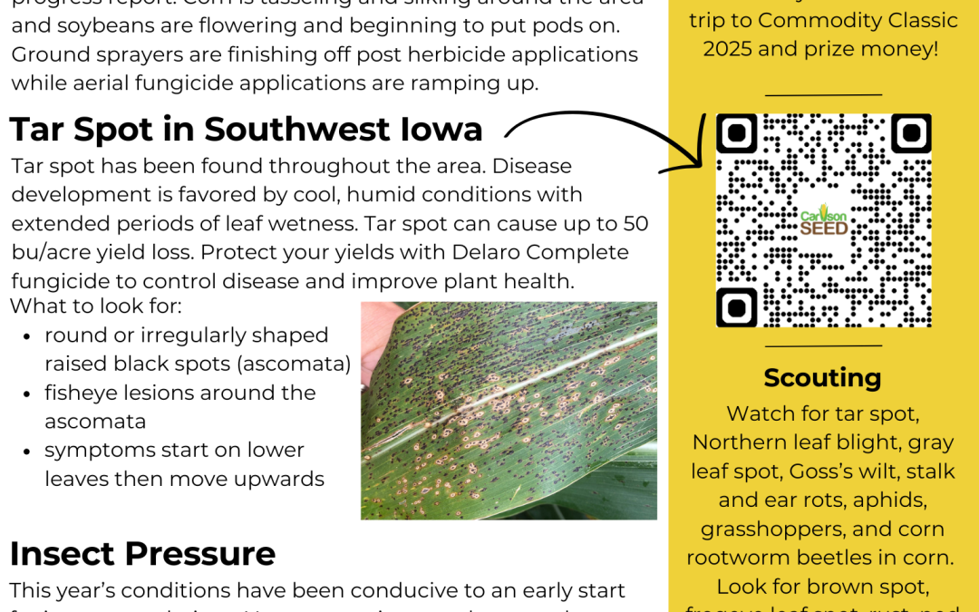July Newsletter