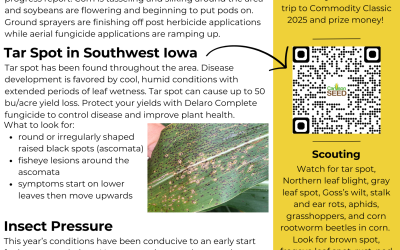 July Newsletter