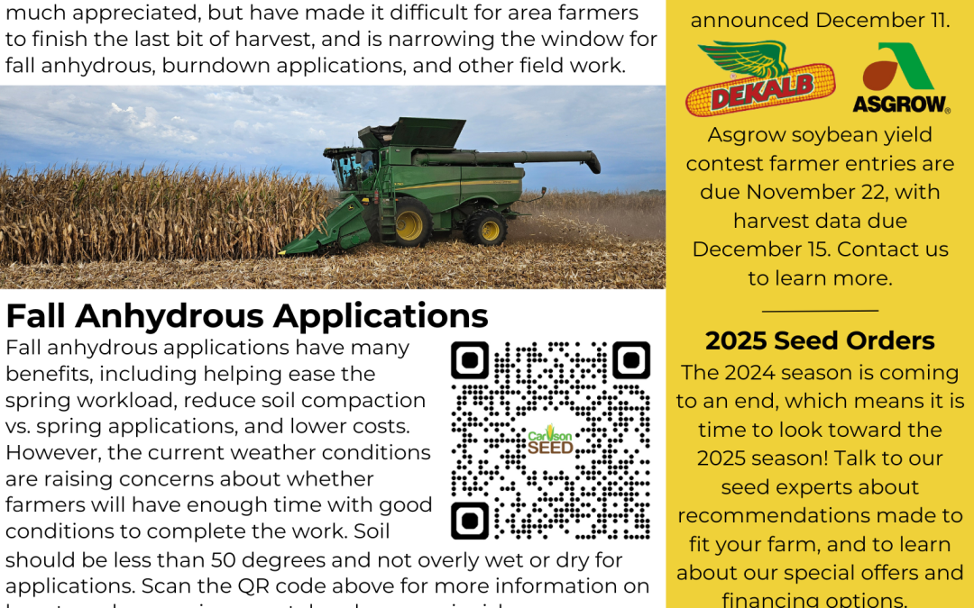 November Newsletter