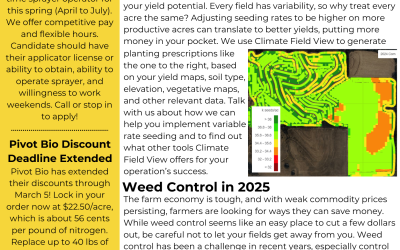 February Newsletter