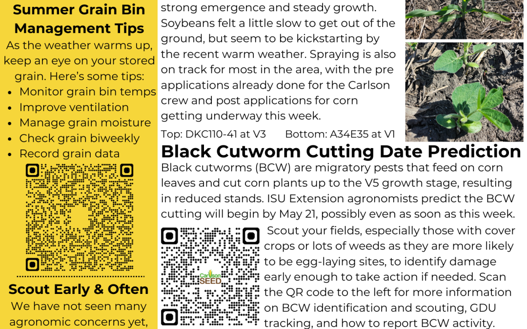 May Newsletter