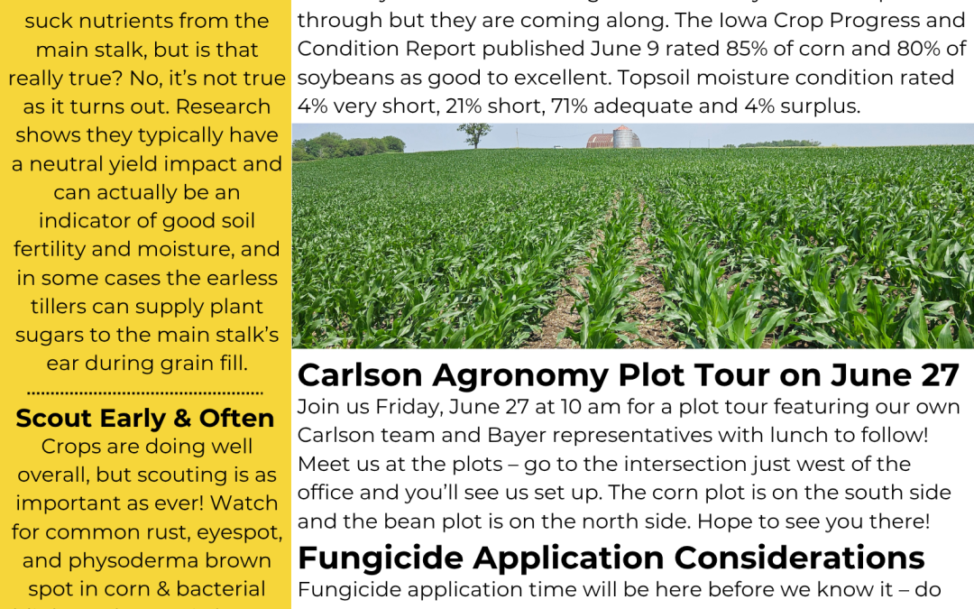 June Newsletter