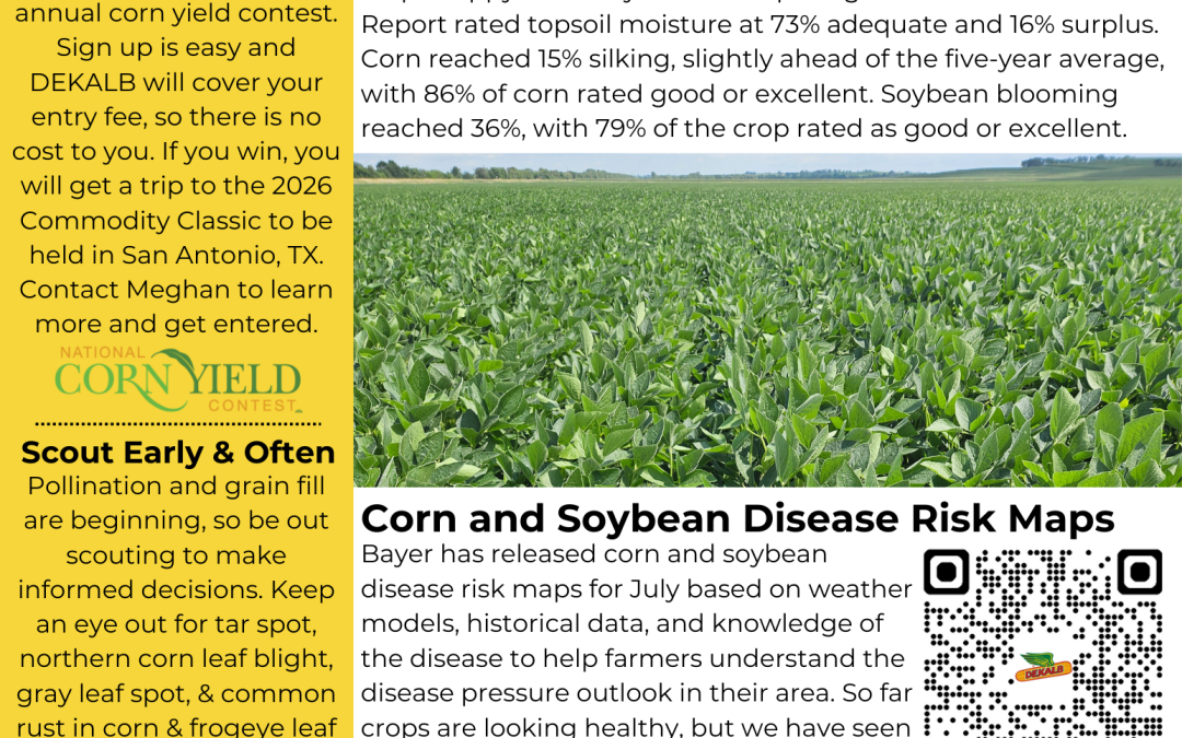 July Newsletter