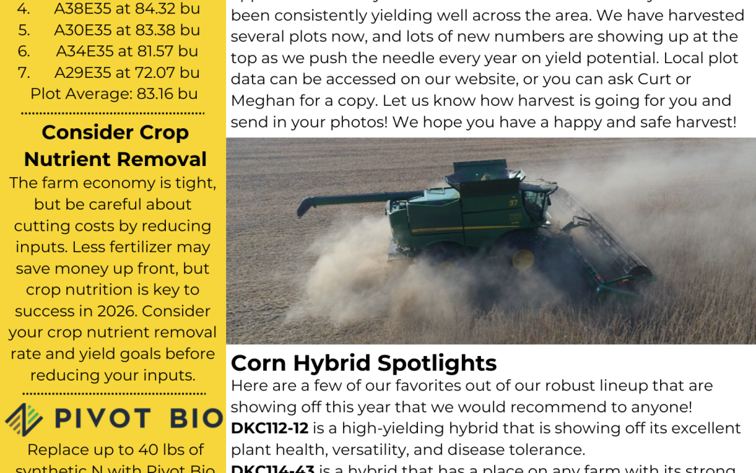 October Newsletter