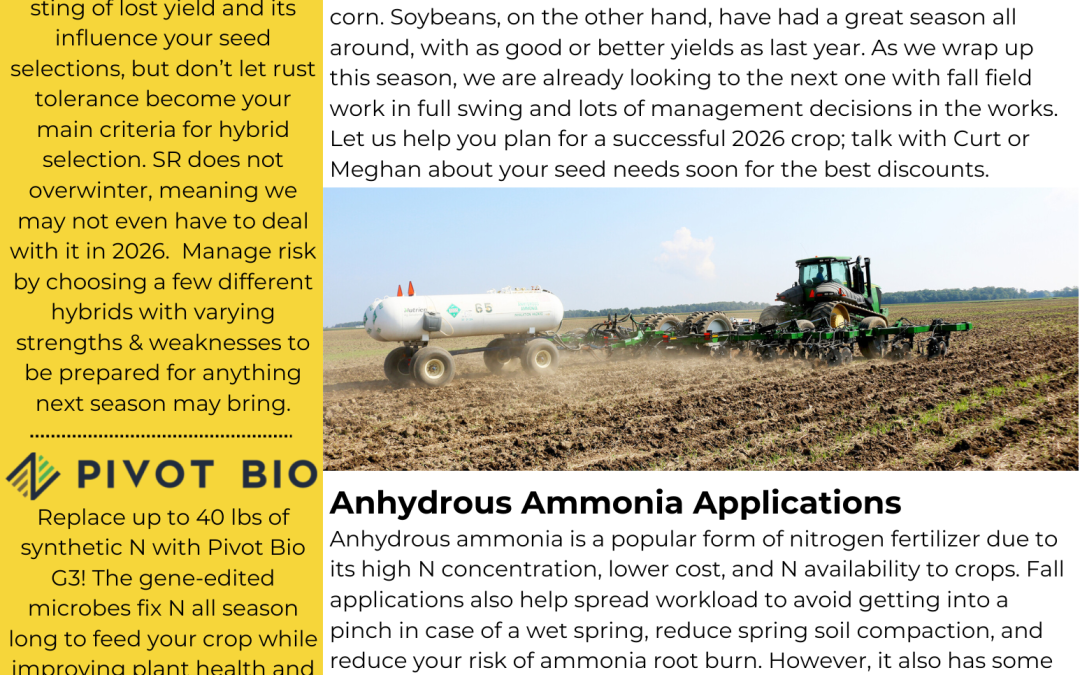 November Newsletter