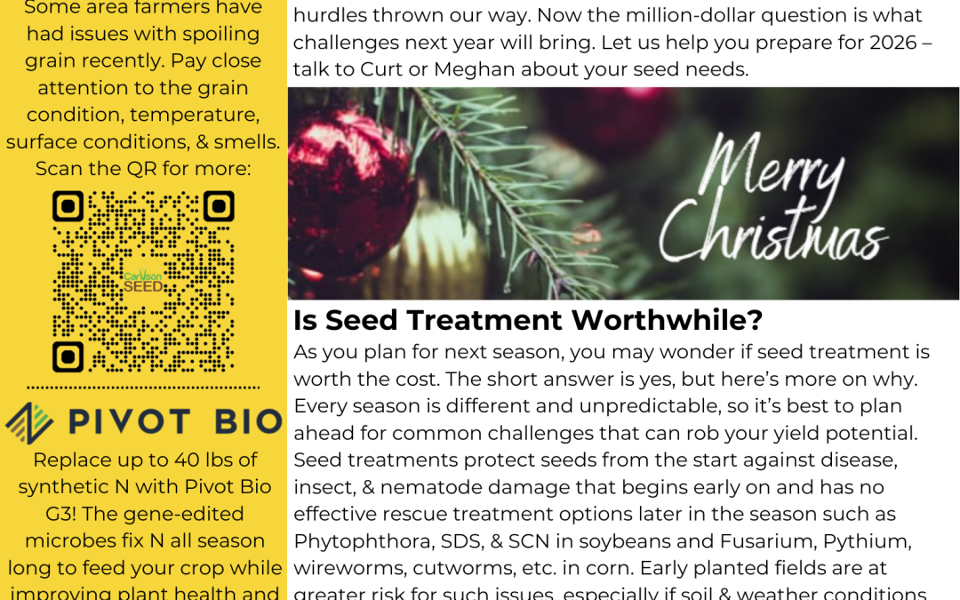 December Newsletter