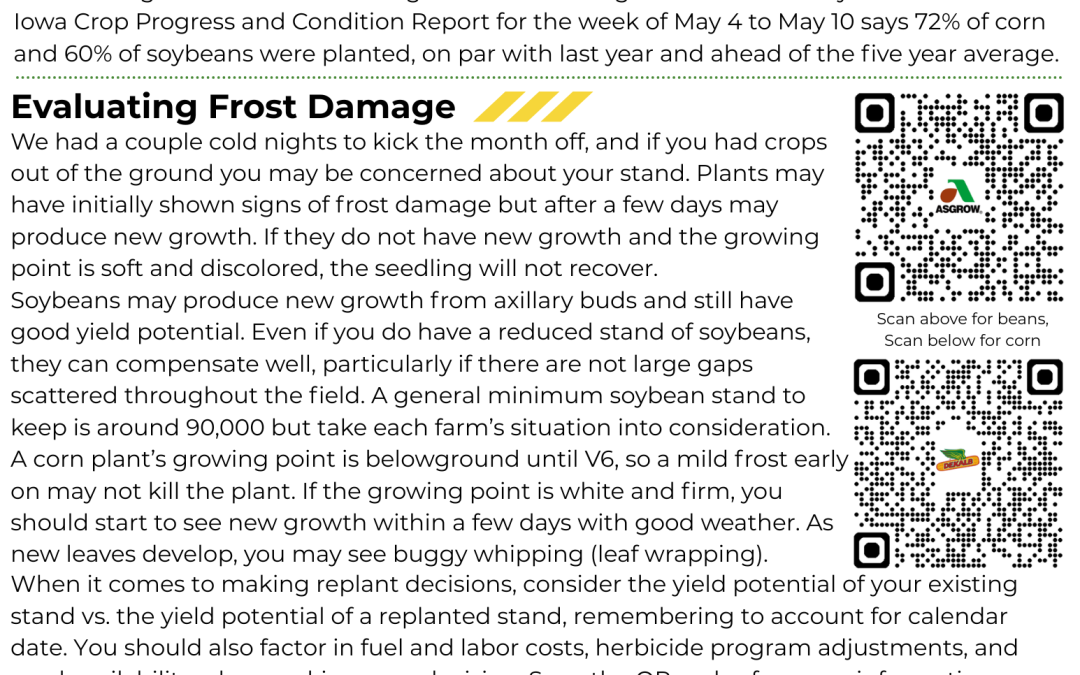 May ’26 Newsletter